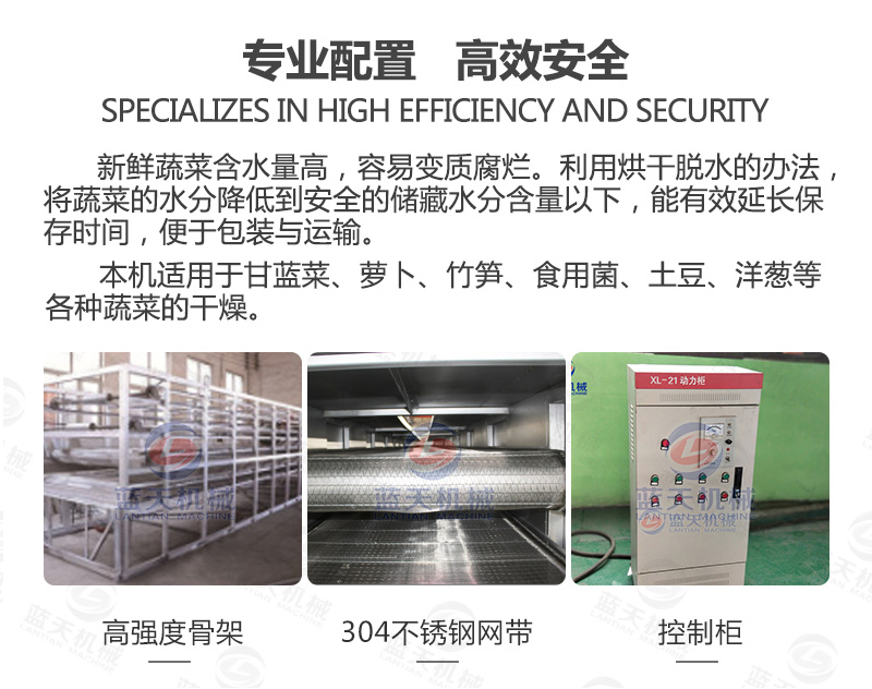 帶式青菜烘干機專業配置