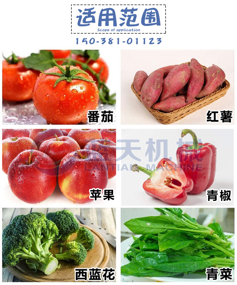 辣椒清洗機適用范圍