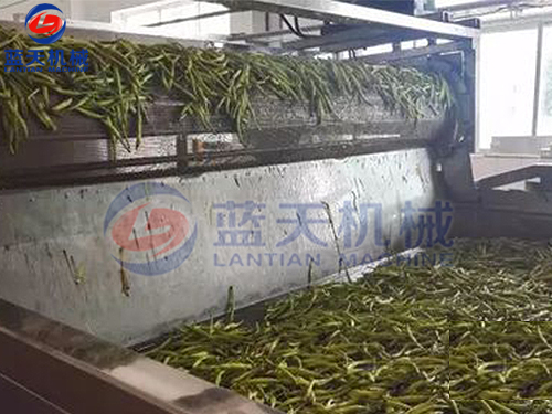 湖南帶式果蔬烘干機用戶現場
