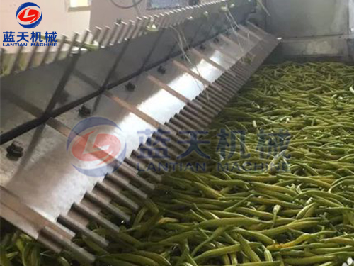 湖南帶式果蔬烘干機用戶現場