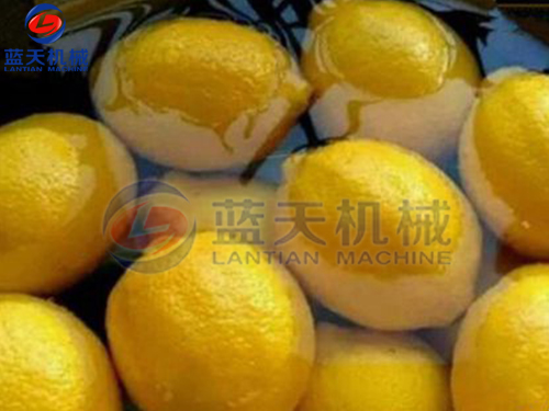 云南水果烘干機用戶現場