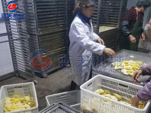云南水果烘干機用戶現場