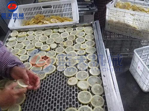 云南水果烘干機用戶現場