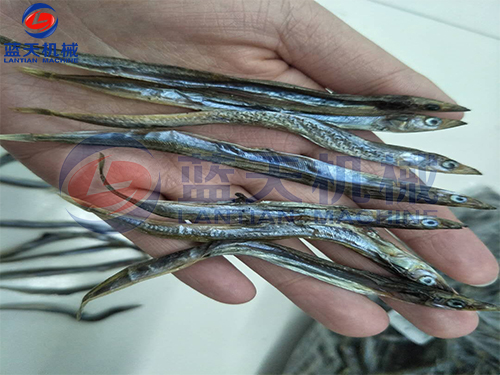 魚干烘干機(jī)烘干現(xiàn)場
